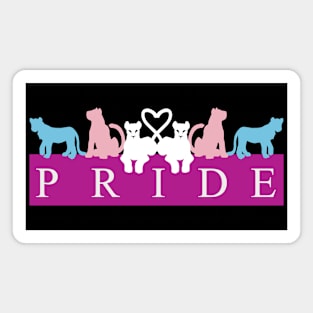 Trans Lion Pride 3 Magnet